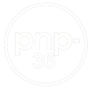 Gemini_Generated_Image_j24278j24278j242 (1)